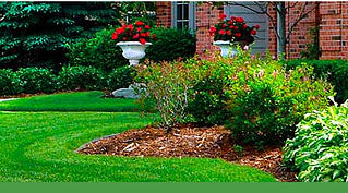 Massachusetts lawn care