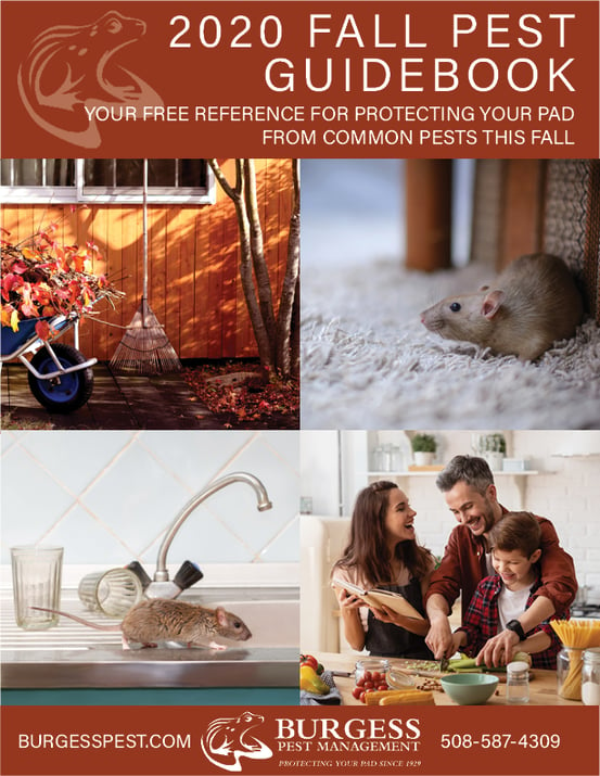 2020 Fall Pest Guidebook