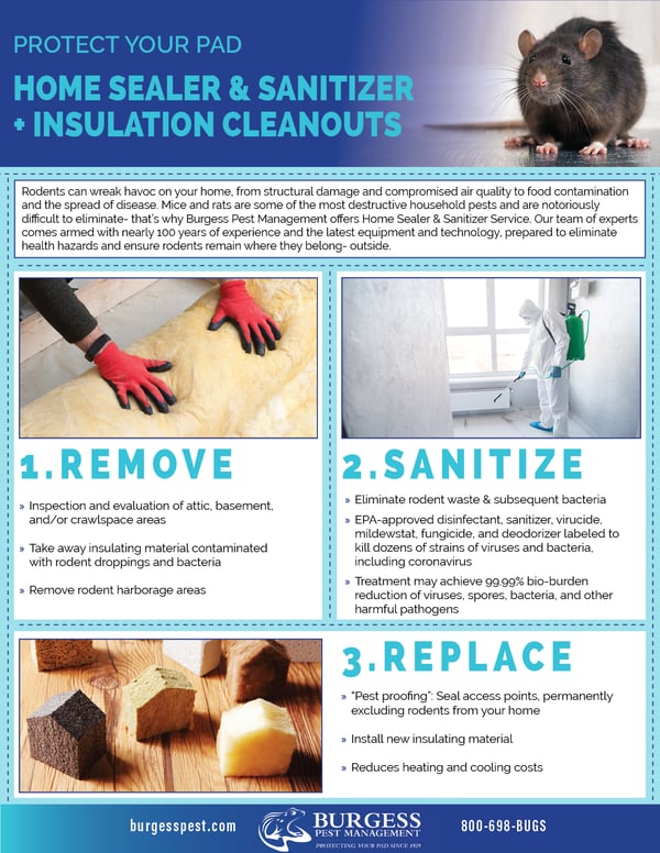Home Sealer & Sanitizer Service