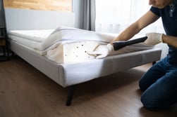 How do I know if I have bed bugs Massachusetts