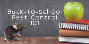 Back to school pest control Massachusetts