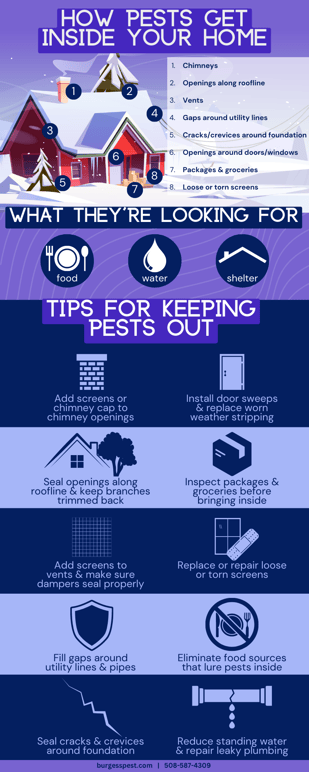 How Pests Get Inside [INFOGRAPHIC]
