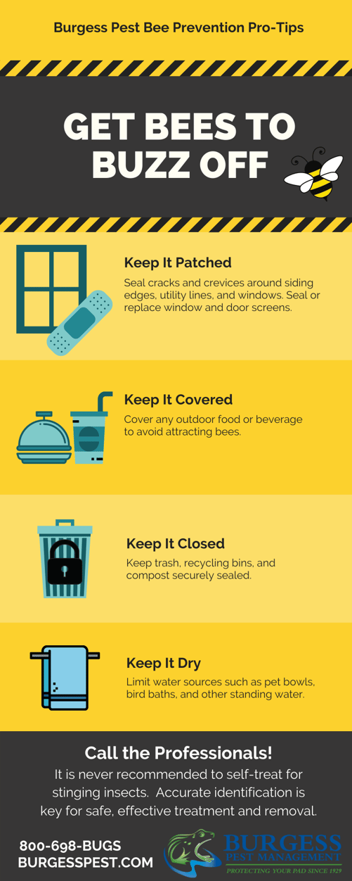 Buzz Off! Bee Prevention Tips [INFOGRAPHIC]