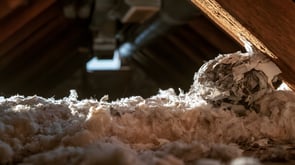A mouse nest inside attic insulation.