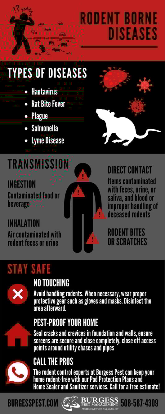 What Diseases Do Rats Carry? 35 Rodent-Borne Diseases
