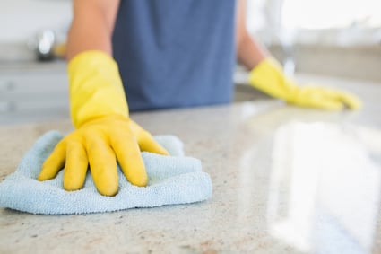 Spring Cleaning Extra Mile: Pest Prevention
