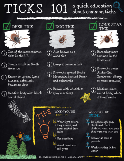 Ticks in Massachusetts Infographic