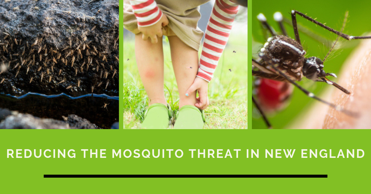 mosquito and tick control in massachusetts