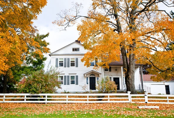 Is your house ready for fall? 3 tips for stopping mice from getting inside!