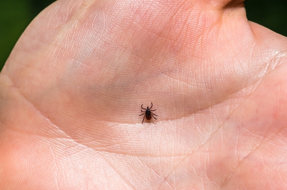 When to start Massachusetts tick treatments