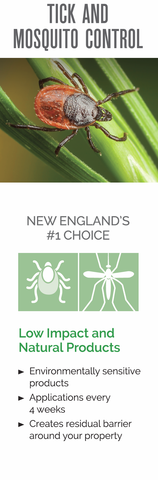 How to properly treat for ticks in Massachusetts